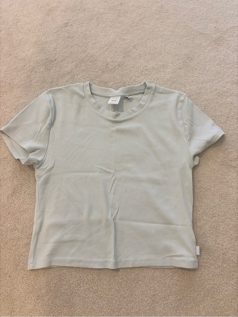 light blue Aritzia TNA t-shirt